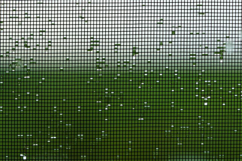 Improve the Appearance of the Screen with Screen Repair Services!